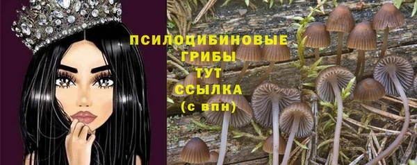 СК Вяземский