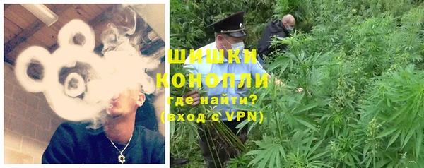 твердый Анжеро-Судженск